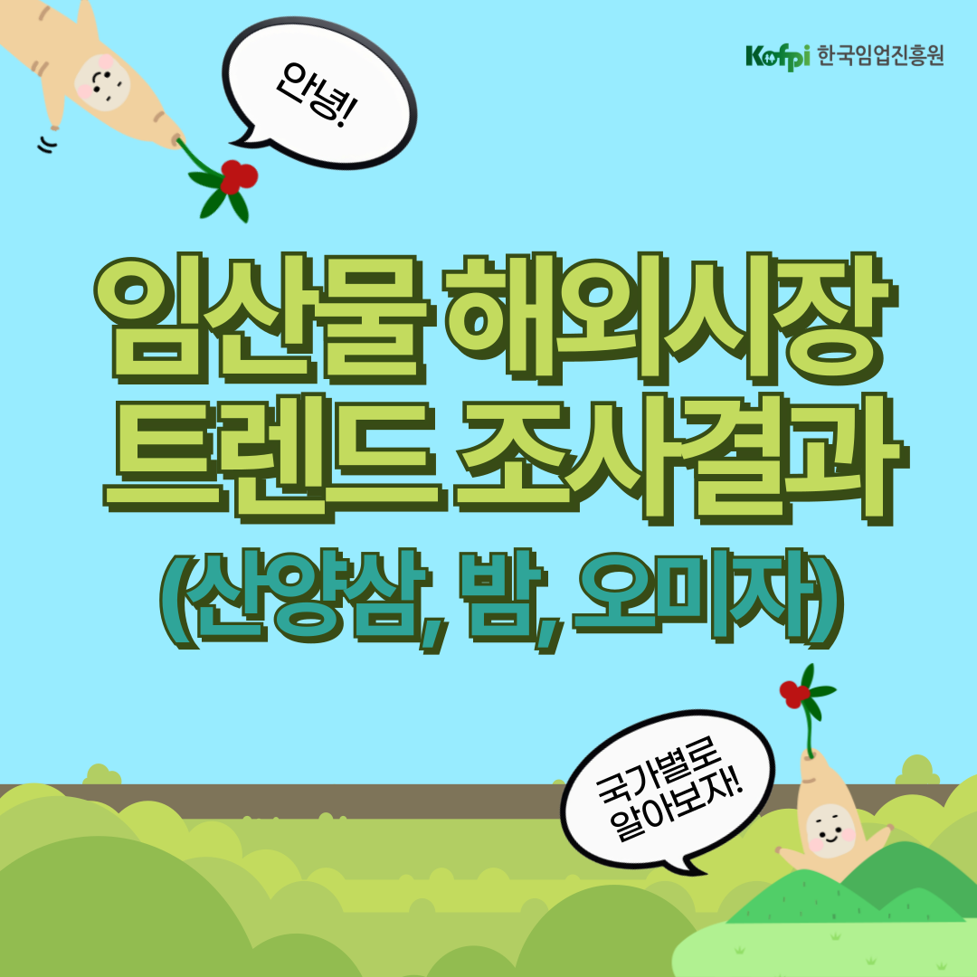 K-forest 글로벌 서포... 이미지